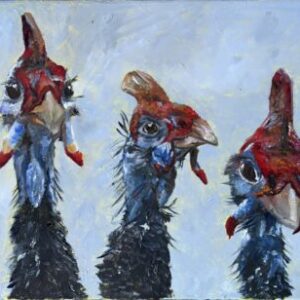 Guinea Fowls