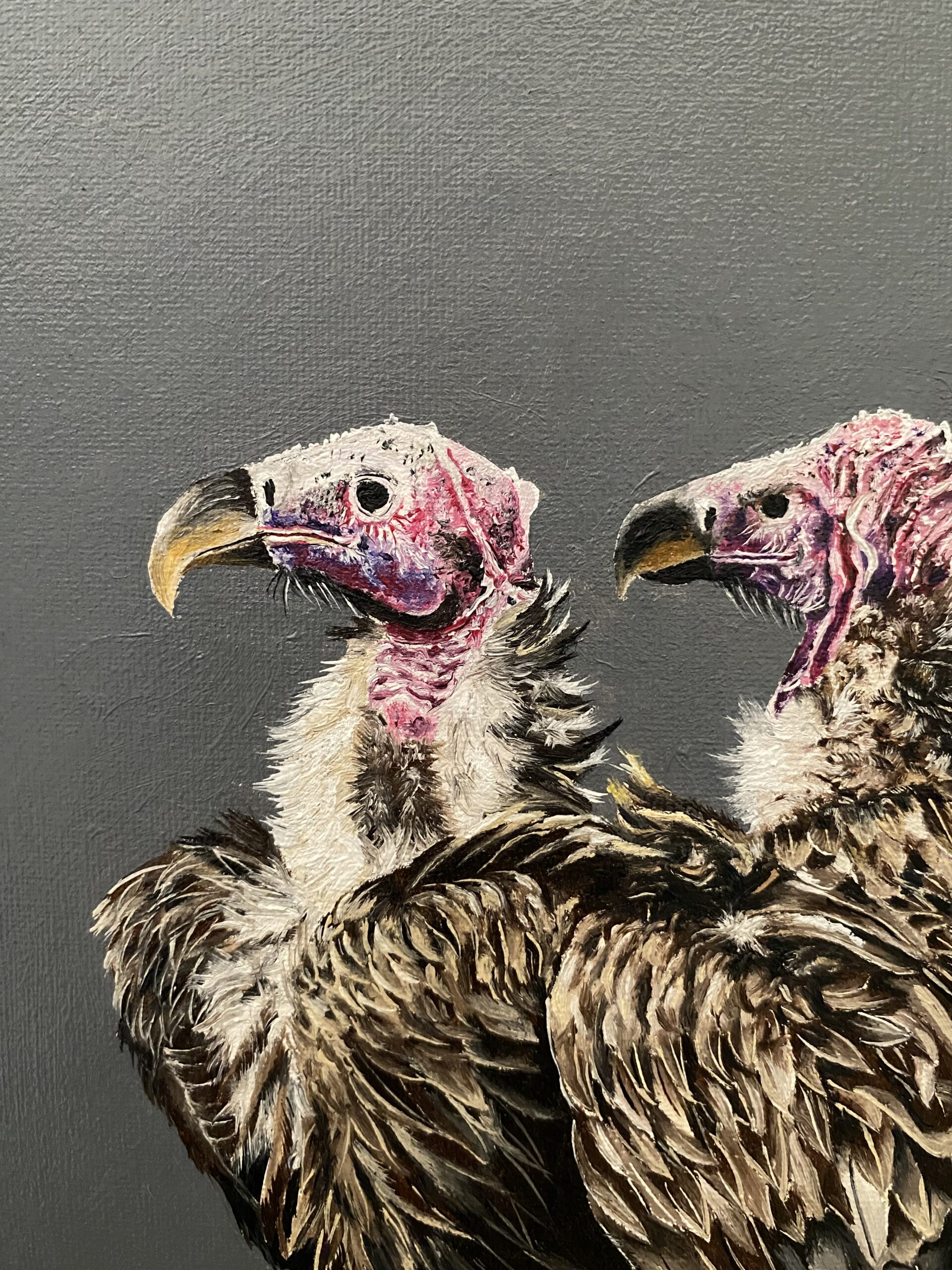 Royalty of the dead - Lappet Face Vulture 4 Royalty of the dead - Lappet Face Vulture - Image 4