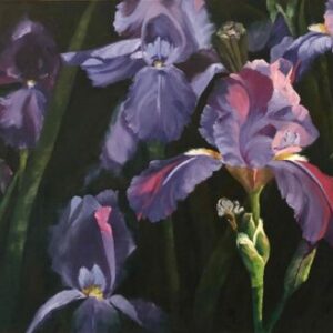Iris Symphony