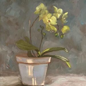 Orchid