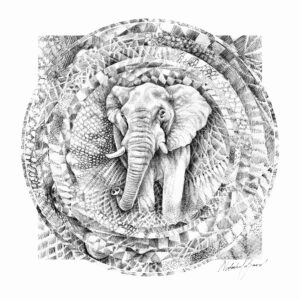 The Big 5 Elephant