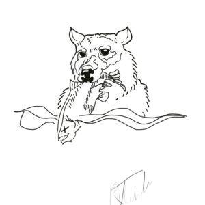 Minimalist line drawing of a bear standing in water with a salmon in its mouth, rendered in clean, simple lines.